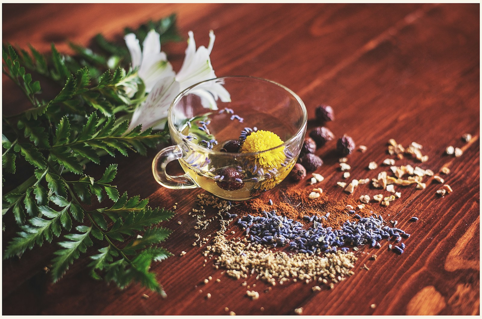 A glass cup beside herbs and other botanical ingredients on a wooden surface.