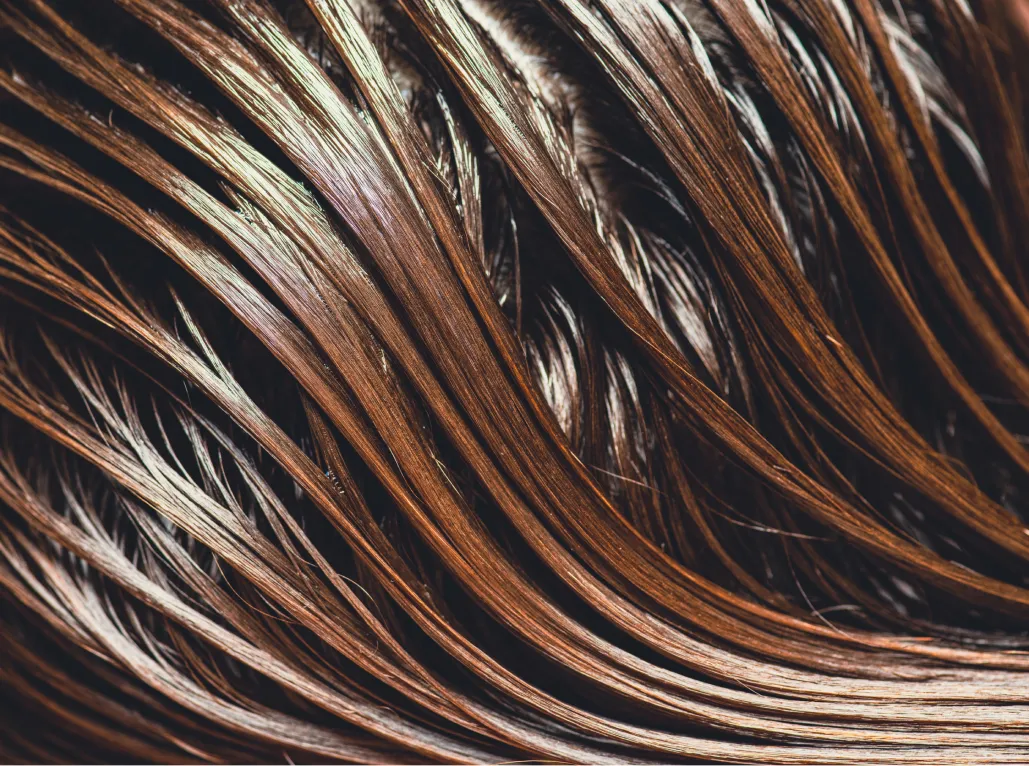 Close-up texture of brown hair strands.