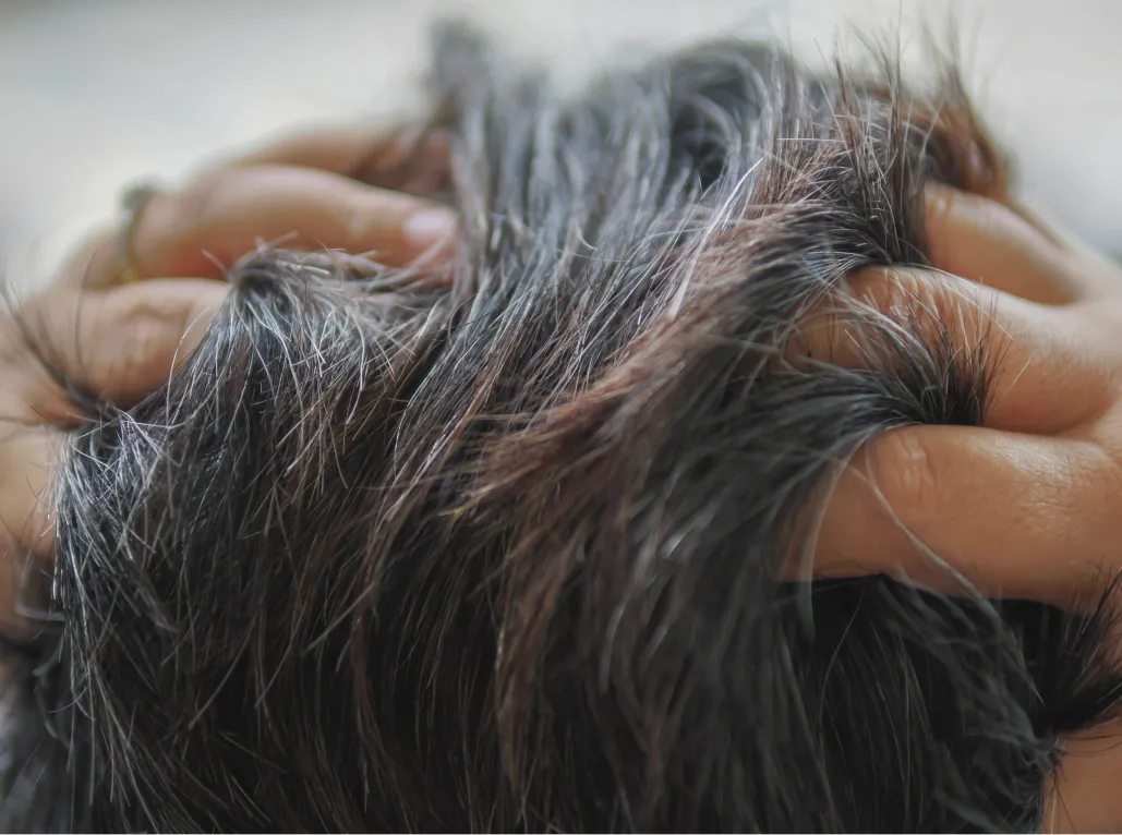 Hands part silver and dark-gray hair in a close-up view.