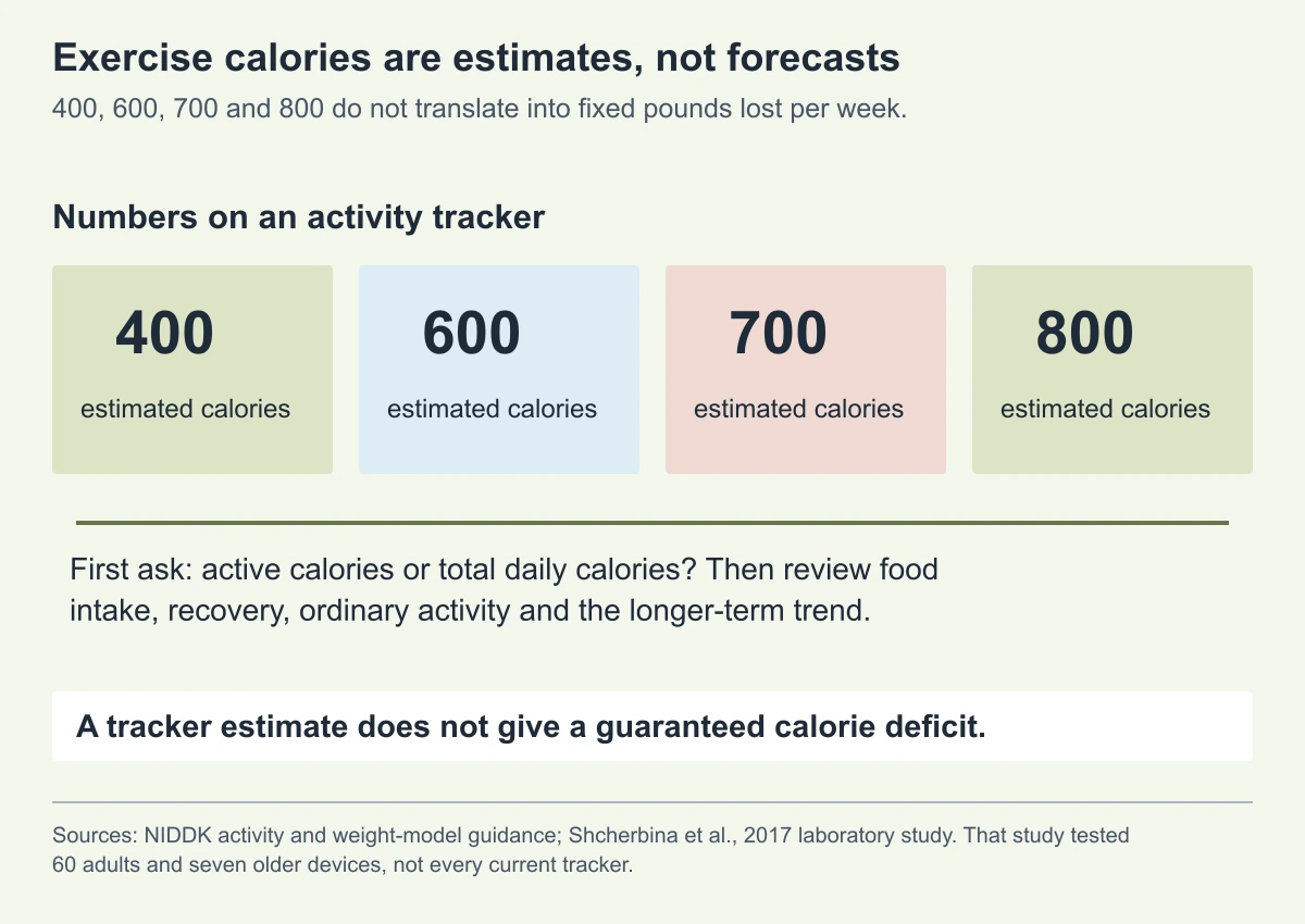 Four equally sized tiles show 400, 600, 700 and 800 estimated activity calories. Active versus total calories, food intake, recovery and longer-term trends matter; a tracker does not guarantee a calorie deficit.