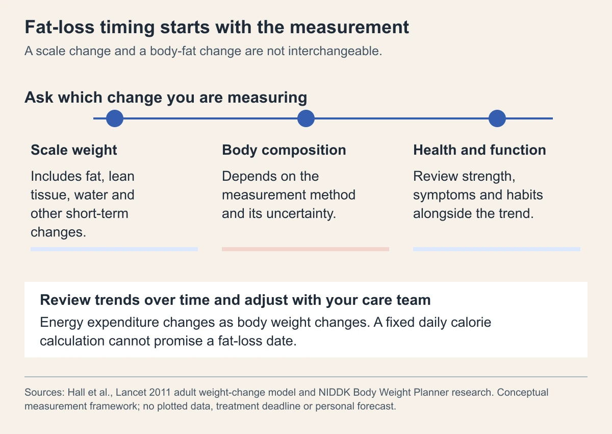 Three observation tracks distinguish scale weight, body composition, and health and function. Trends and changing energy expenditure prevent a fixed fat-loss deadline.