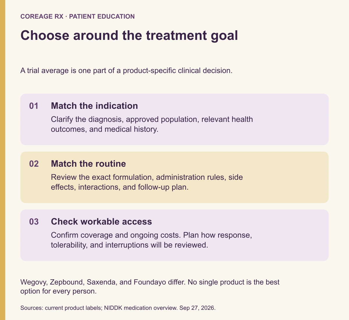 Three decision areas for a GLP-1 medicine: the clinical indication, the treatment routine, and sustainable access with follow-up.