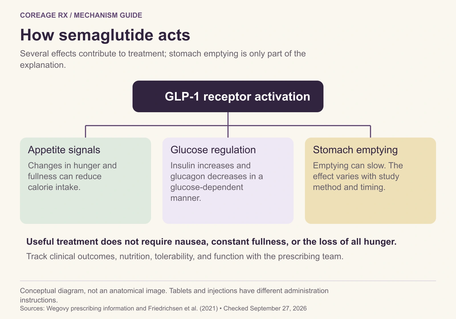 Semaglutide activates GLP-1 receptors and affects appetite, glucose-dependent insulin and glucagon, and gastric emptying. Track outcomes and tolerability rather than expecting constant nausea or fullness.