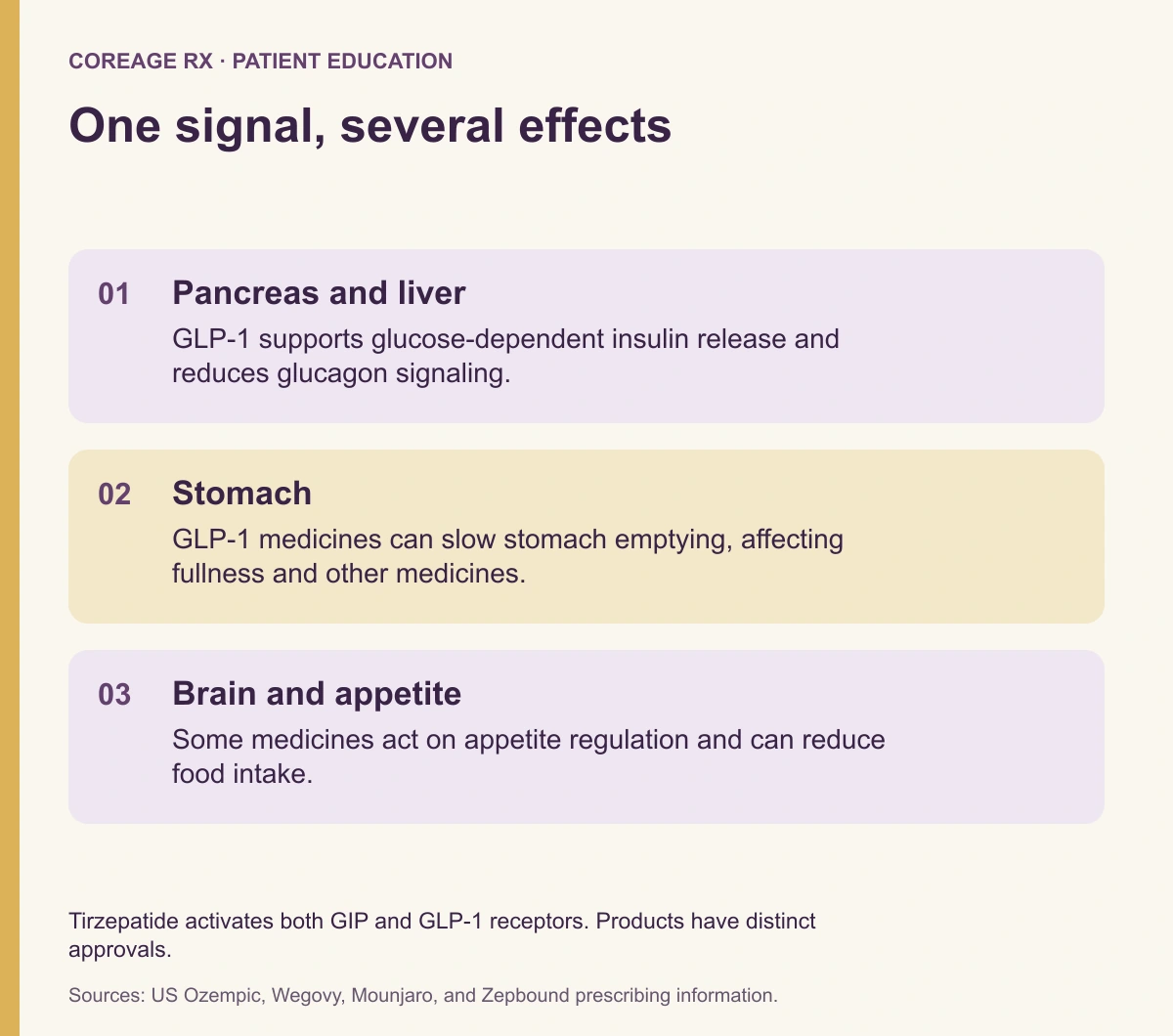 GLP-1 effects on glucose signaling, stomach emptying, and appetite.