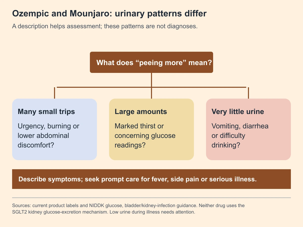 Ozempic and Mounjaro: urinary patterns differ. A description helps assessment; these patterns are not diagnoses.