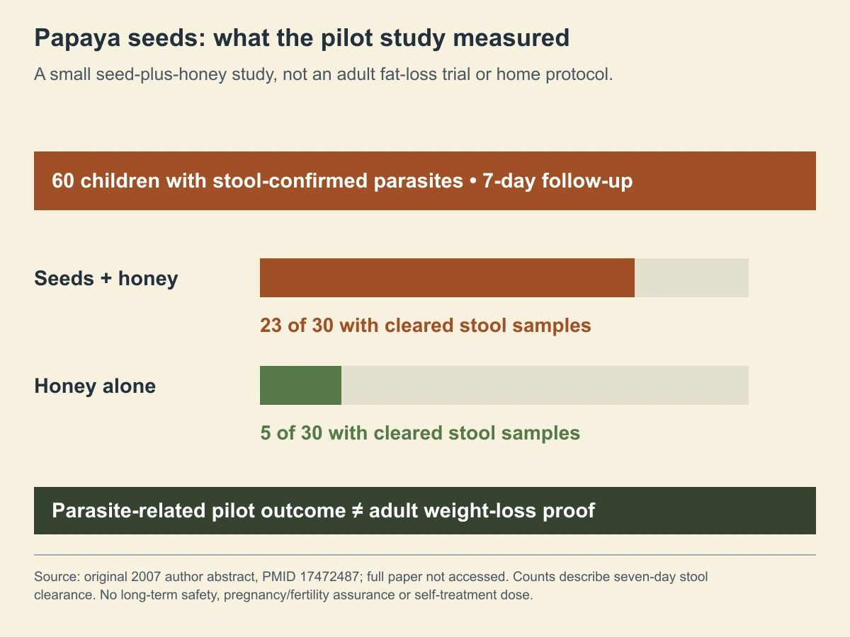 Papaya seeds: what the pilot study measured. A small seed-plus-honey study, not an adult fat-loss trial or home protocol.