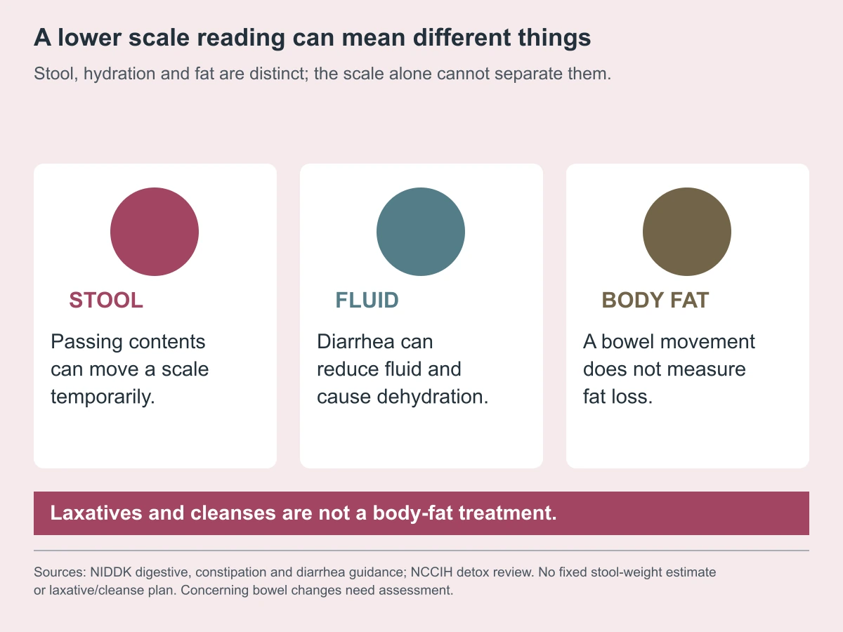 A lower scale reading can mean different things. Stool, hydration and fat are distinct; the scale alone cannot separate them.