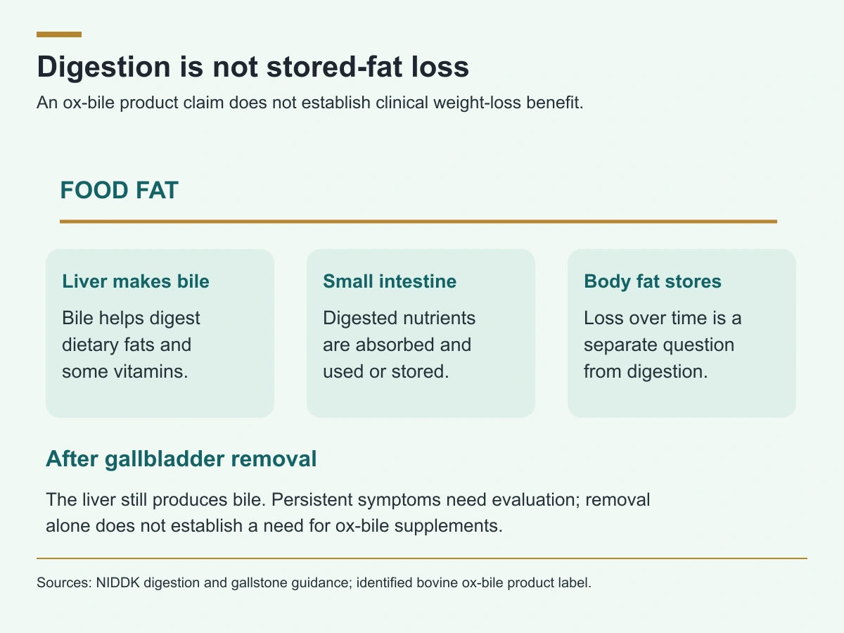 Bile assists dietary fat digestion and absorption. This differs from losing stored body fat over time.