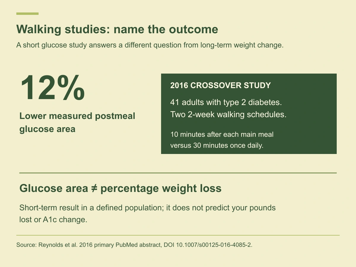 A 41-person diabetes study found 12 percent lower three-hour incremental postmeal glucose area; this is not percentage weight loss.
