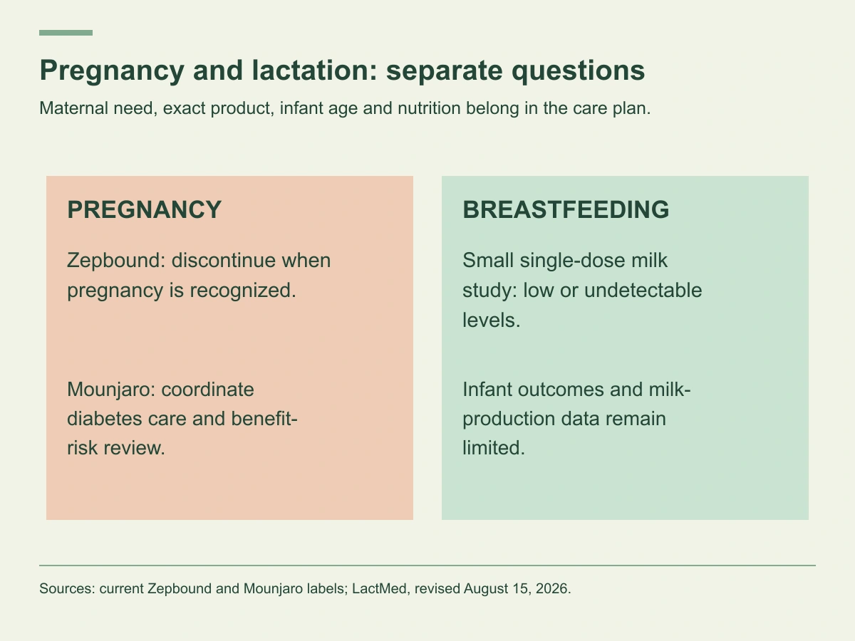 Pregnancy label instructions and limited breastfeeding milk data require different tirzepatide discussions.