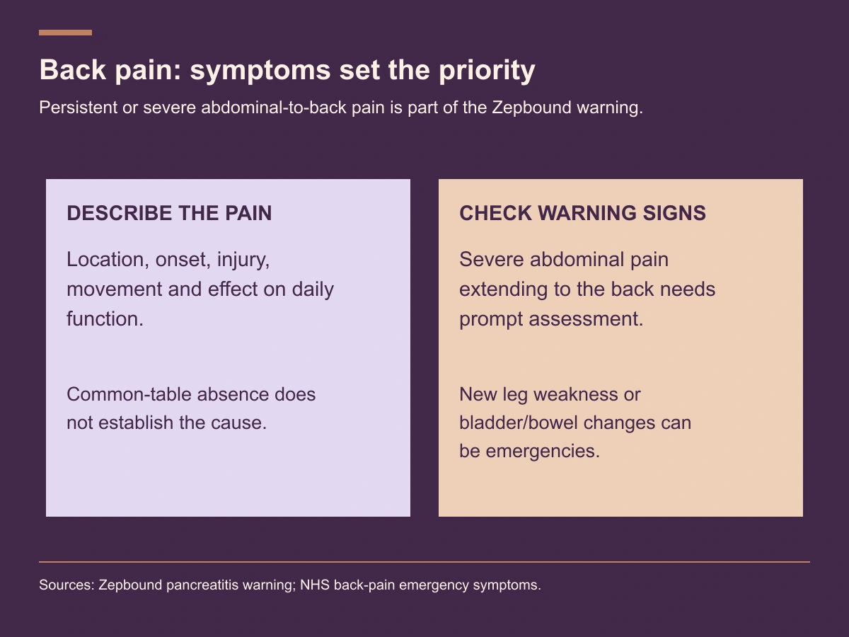Back-pain review separates location and function from warning symptoms such as severe abdominal-to-back pain, new leg weakness and bladder or bowel changes.