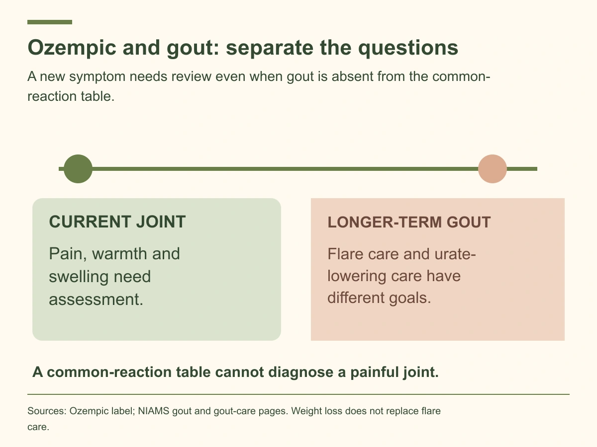 Assess the current joint problem and discuss longer-term gout management separately from Ozempic symptom review.