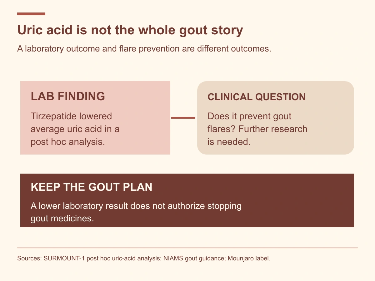 The tirzepatide analysis found lower average uric acid but did not establish a replacement for gout medicines or a guarantee against flares.