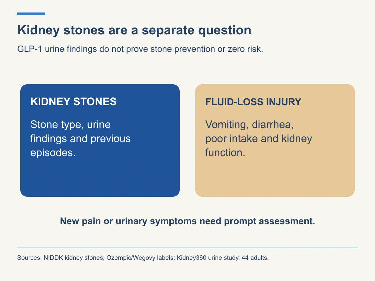 Kidney stones and fluid-loss kidney injury need different clinical questions; new pain or urinary symptoms require prompt assessment.