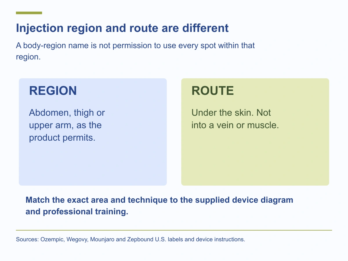 The region is a permitted body area such as the thigh. The route is under the skin, not into a vein or muscle. Use the exact device diagram and training to select the spot.