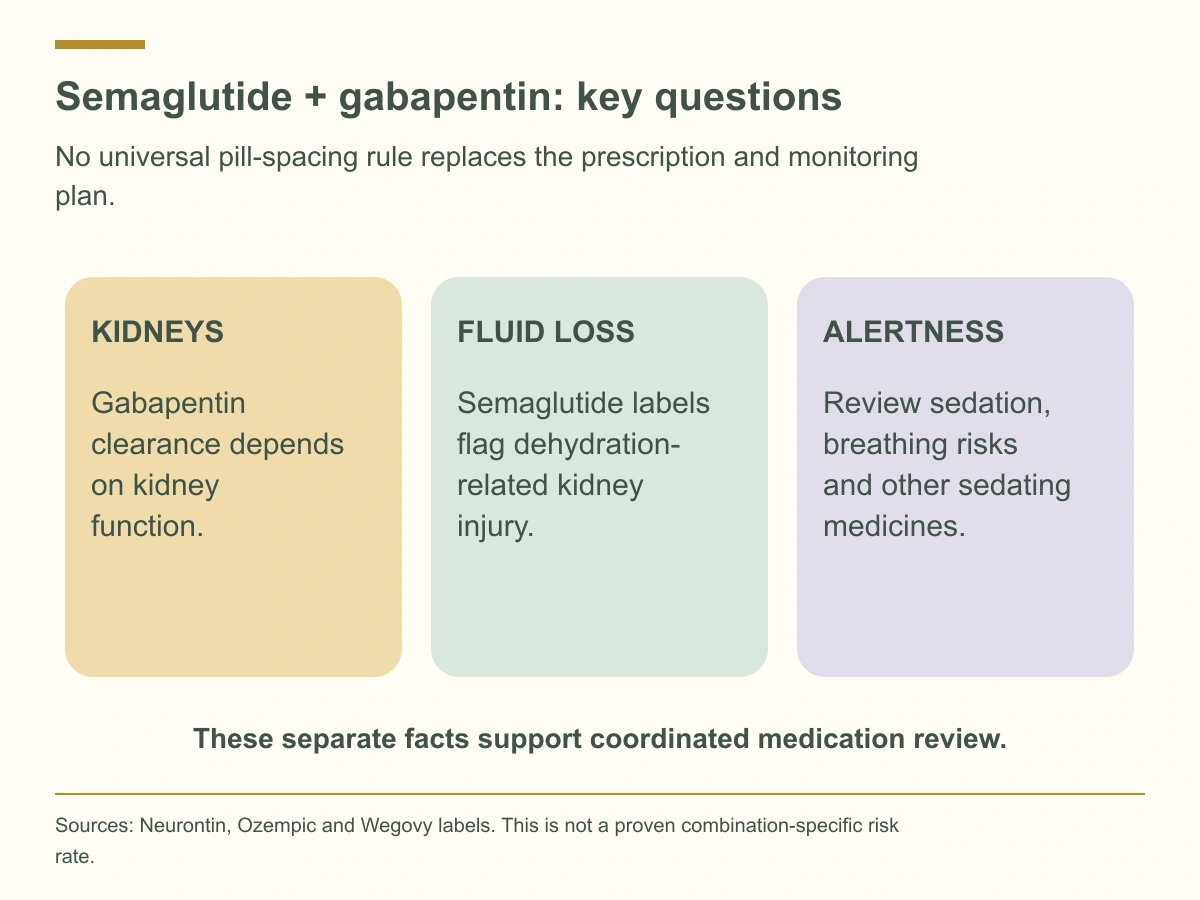 Gabapentin is cleared through the kidneys; semaglutide labels warn about kidney injury with fluid loss; gabapentin sedation and respiratory-risk factors require review.