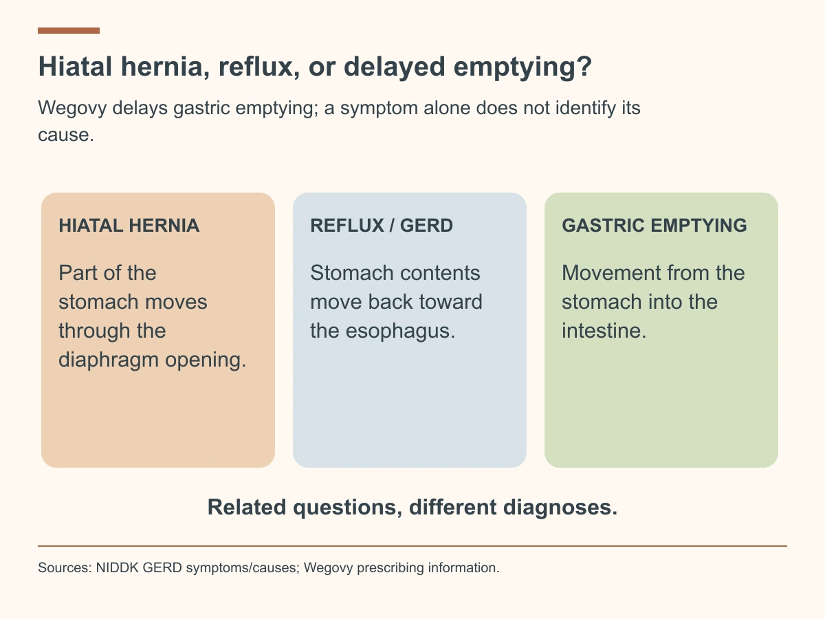 Hiatal hernia concerns stomach position, reflux concerns backward movement of stomach contents, and gastric emptying concerns movement into the intestine.
