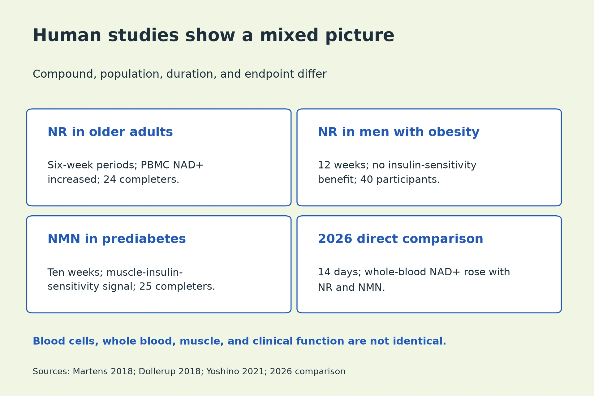NR in older adults: Six-week periods; PBMC NAD+ increased; 24 completers. NR in men with obesity: 12 weeks; no insulin-sensitivity benefit; 40 participants. NMN in prediabetes: Ten weeks; muscle-insulin-sensitivity signal; 25 completers. 2026 direct comparison: 14 days; whole-blood NAD+ rose with NR and NMN.