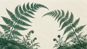 Two emerald fern fronds and new growth on cream textured paper.